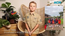 Louie Tagg Shoalhaven’s Wildlife Warrior