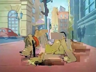 DONALD DUCK CARTOONS WINDOW CLEANERS