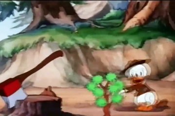 Pato Donald Os Três Escoteiros