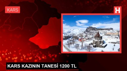 KARS KAZININ TANESİ 1200 TL