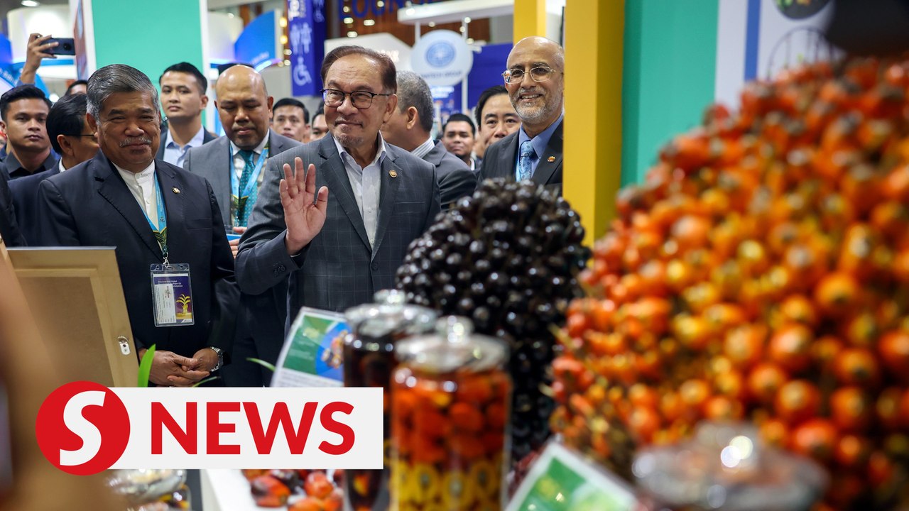 Malaysia intends to raise Palestine issue at Apec, says PM
