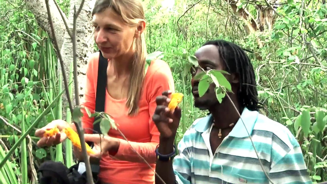 Hadzabe honey eating