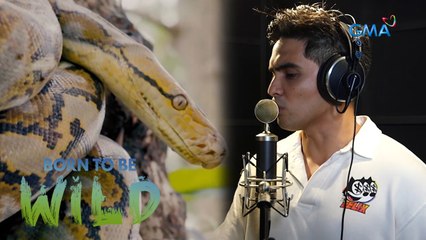 "Apo" the snake explains their often misunderstood behavior | Born to be Wild
