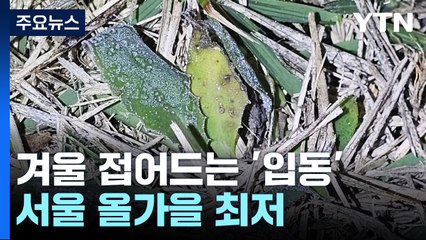 [날씨] '입동' 추위에 올가을 최저기온...서울에 첫서리·첫얼음 / YTN