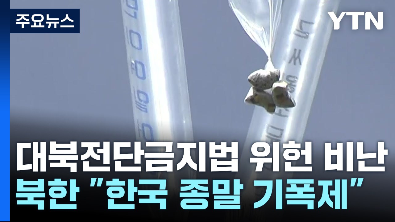 北, 대북전단 금지법 위헌 결정 맹비난 "대한민국 종말 기폭제" / YTN