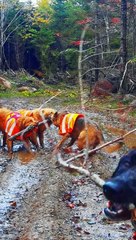 Socially Awkward But Happy To Be Invited