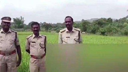 చిత్తూరు జిల్లా: విద్యుదాఘాతానికి ఏనుగు మృతి