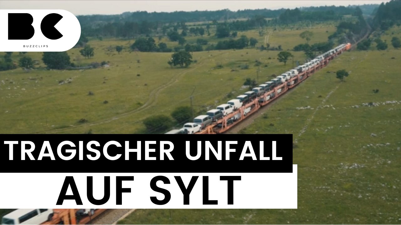 Rinderherde stößt auf Sylt mit Zug zusammen!