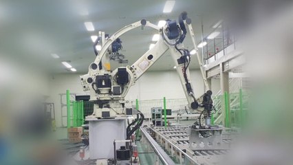 파프리카 선별장 집게 로봇 점검하다 눌려 40대 사망 / YTN