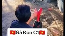 Trường Gà Savan Đá Gà Chọi  C1 Trực Tiếp Dakcheung| Xem Đá Gà Trực Tiếp Dakcheung368BET.LIVE  #reels