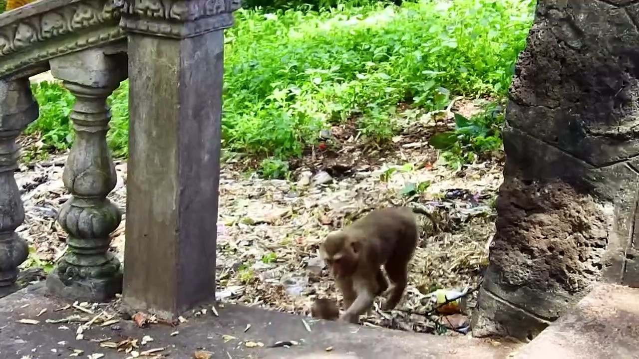 Ah Oh ! Mother Sarika Push Poor Baby SARO Very Cruel