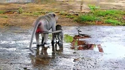 Ah Pity Baby Mila That Mother Malika Holds And Hits To The Ground