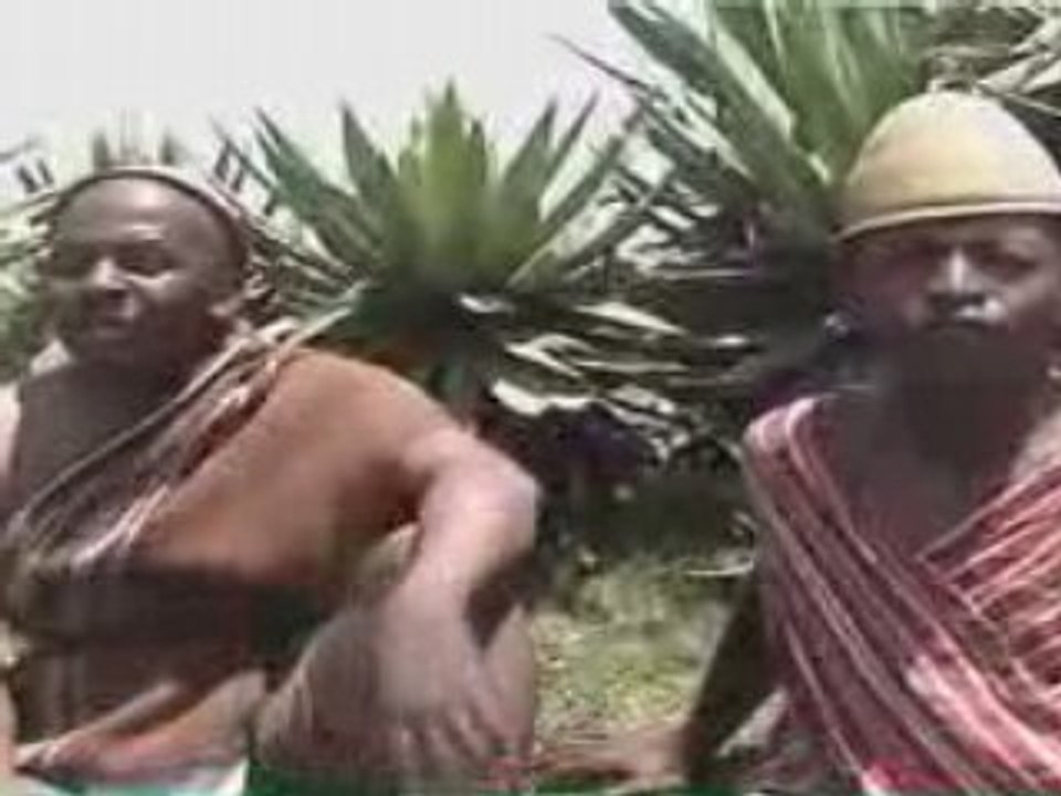 Backom androy omeo rano