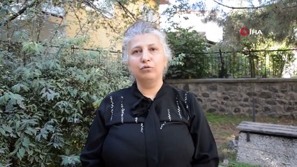 Le paon faisant du bruit a été signalé à CİMER