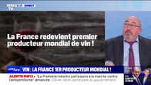 La France redevient le premier producteur de vin au monde, sans augmenter sa production