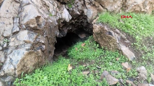 Des matériaux vivants ont été saisis dans des grottes et des abris terroristes dans la région de l'opération Claw Lightning