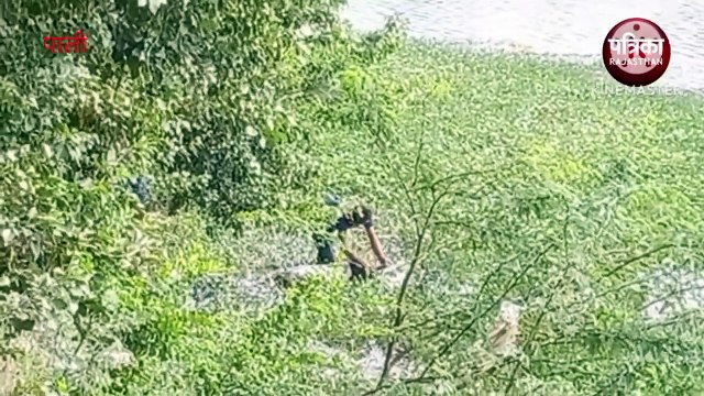 Watch Video घर से बिना बताए तीन दिन पहले निकाला था वृद्ध, तालाब में तैरता मिला शव