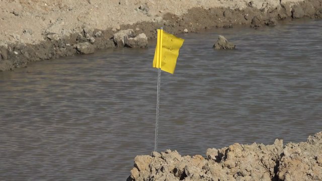 [경북] 포항, 연어 양식 도전...'스마트 양식 클러스터' 조성 / YTN