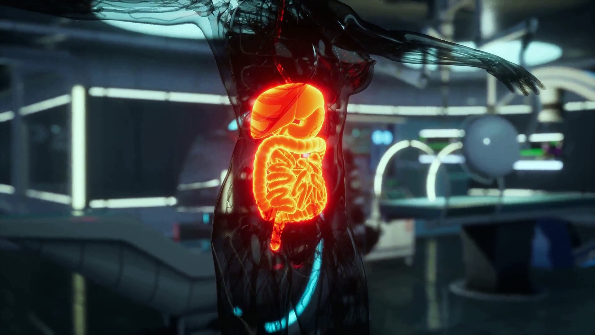 - Ileum Pharmacology Unveiled