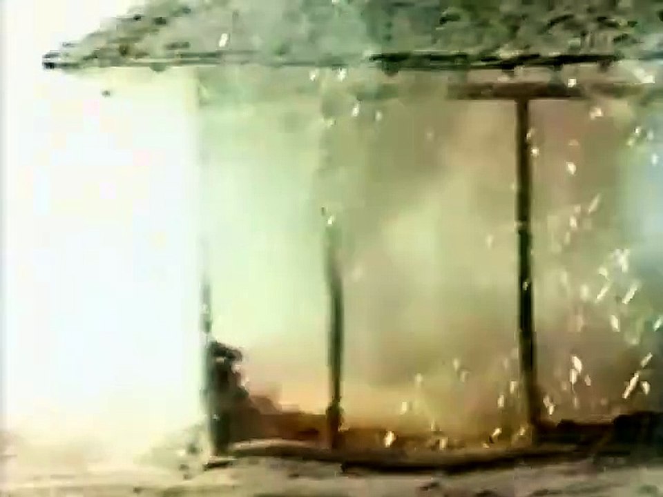 Hinter feindlichen Linien -  Geheimoperationen im Kalten Krieg