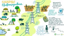 Qué es y qué no es el proyecto de transmisión de energía eléctrica Refuerzo Suroccidental