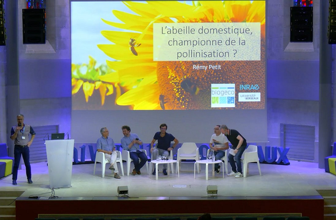 Journée des pollinisateurs - Rencontres du 3 octobre 2023