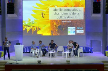 Journée des pollinisateurs - Rencontres du 3 octobre 2023