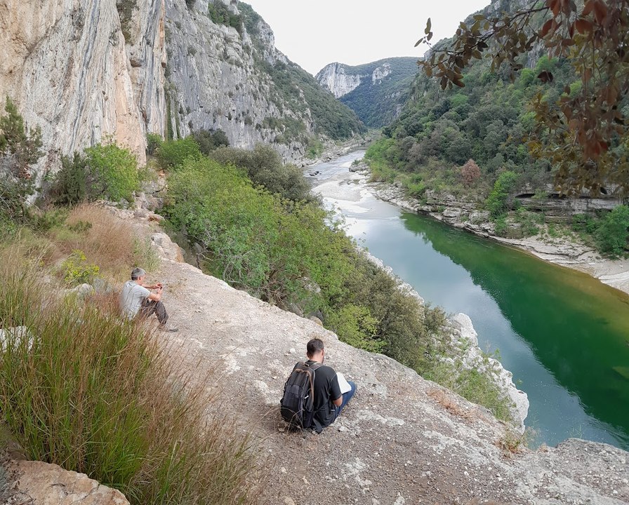 Les chèvres sauvages des Gorges de l'Ardeche