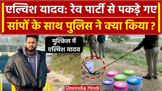 Elvish Yadav की Rave Party में पकड़े गए सांपों का Noida Police ने क्या किया ? | वनइंडिया हिंदी