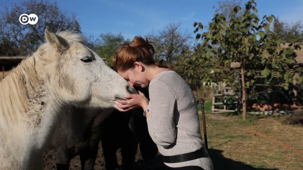 Endlich glücklich: Der einzige Pferdeschutzhof in Serbien