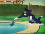 Tom & Jerry (1940) - S1950E22 - Little Runaway