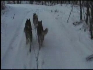 VTS_07_1