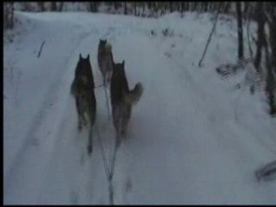 VTS_07_1