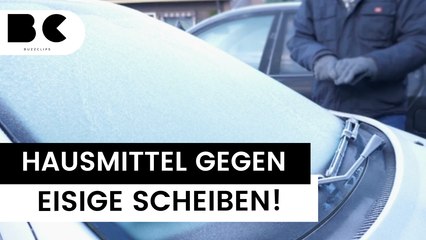 Diese Hausmittel helfen bei eingefrorenen Autoscheiben!