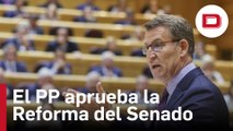 El PP aprueba el trámite exprés de la reforma del Reglamento del Senado que dilatará la amnistía