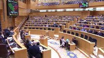 El PP aprueba el trámite de la reforma del Reglamento del Senado que dilatará la amnistía