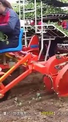 mesin pertanian cina