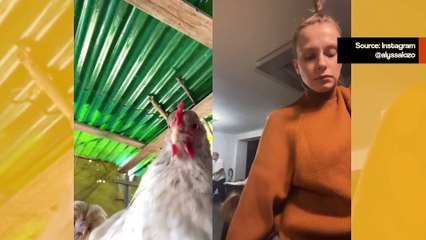 Ihailevat linnut inspiroivat uskomattoman tanssitrion 🕺🦜