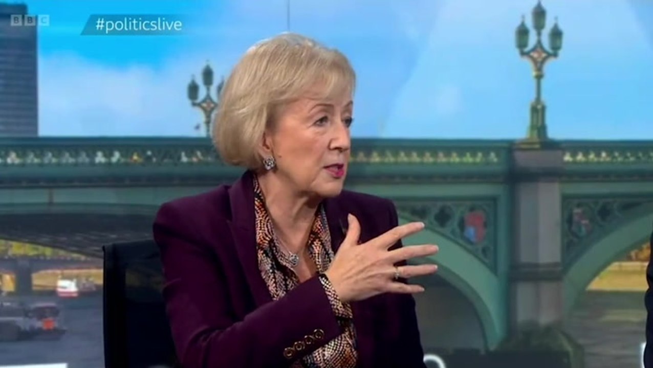 Energy bills will be cheaper ‘within next ten years’, says Tory MP Andrea Leadsom