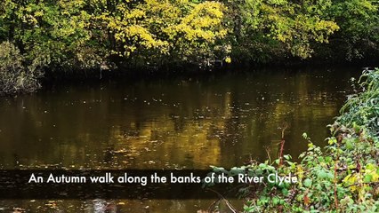 An Autumn walk along the River Clyde in Glasgow
