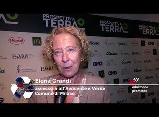 Ambiente, assessora Grandi: "Necessario monitorare salute e stabilità alberi"