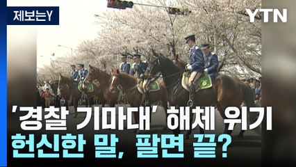 [제보는Y] 70여 년 역사 미래유산 서울 경찰기마대...'인력 부족' 해체? / YTN