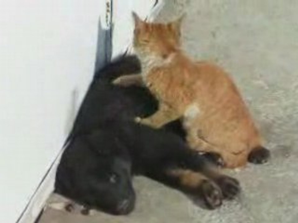 un petit massage ?