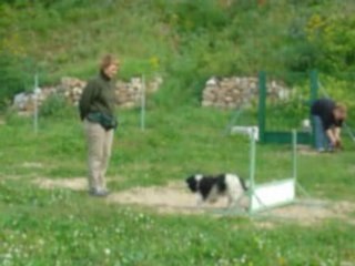 Valentin saut de haie