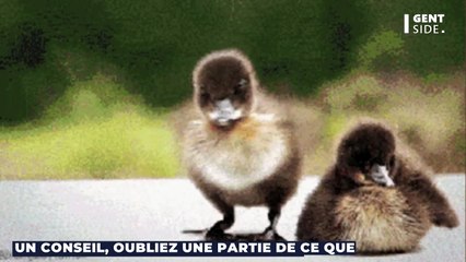 Ces animaux sont capables de se reproduire seuls