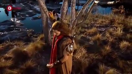 El Rey David Capítulo 10: La Vida y Legado de un Gran Rey 🏰