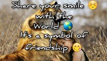 Friendship Quotes - Best Quotes For Lovely Friends