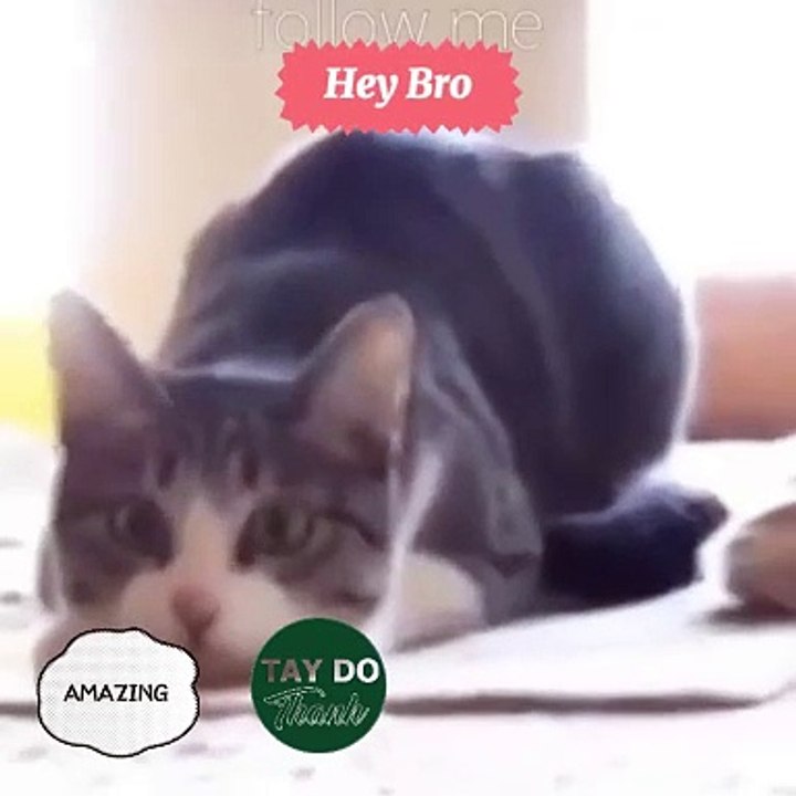 hey bro!!