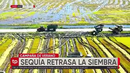 Expresidente del IBCE se refiere al freno que atraviesa la siembra de verano