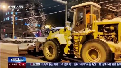 Northeast China cleans up after unusual blizzards